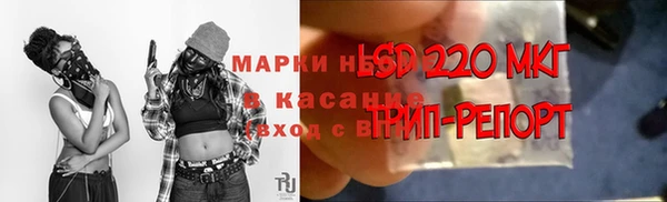 стаф Алексин